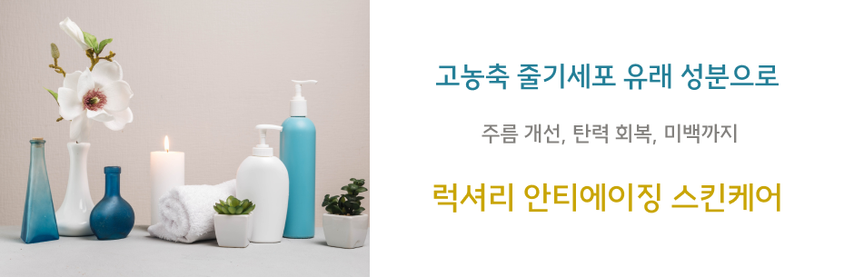이미지 설명입니다.